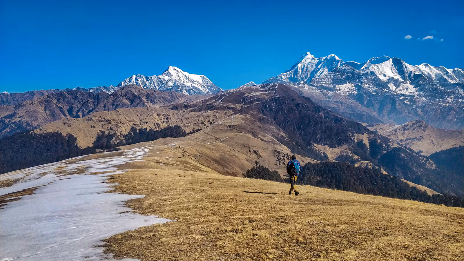 Photo 6 of Ali Bedni Bugyal Trek