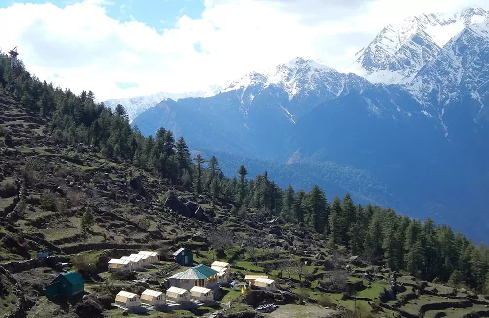 Photo 4 of Auli Gorson Bugyal Trek