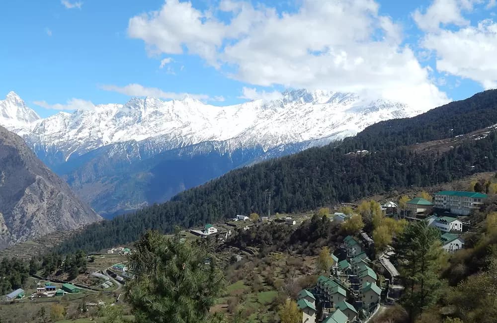 Photo 5 of Auli Gorson Bugyal Trek