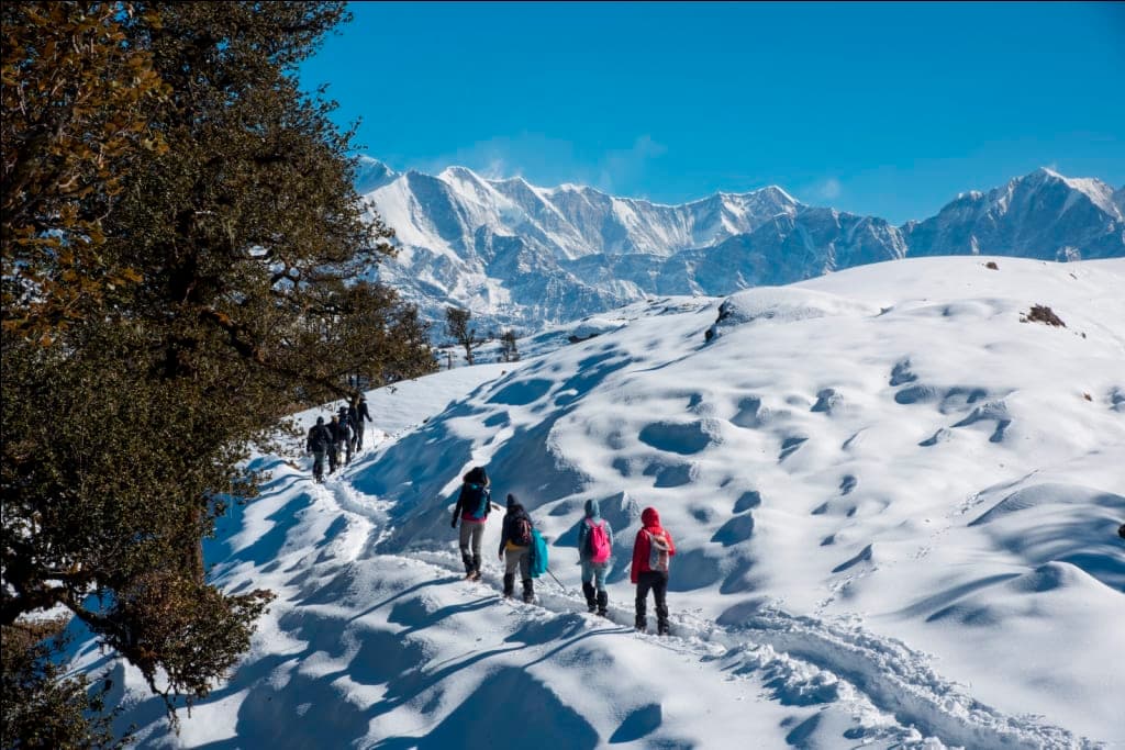 Photo 5 of Brahmatal Trek