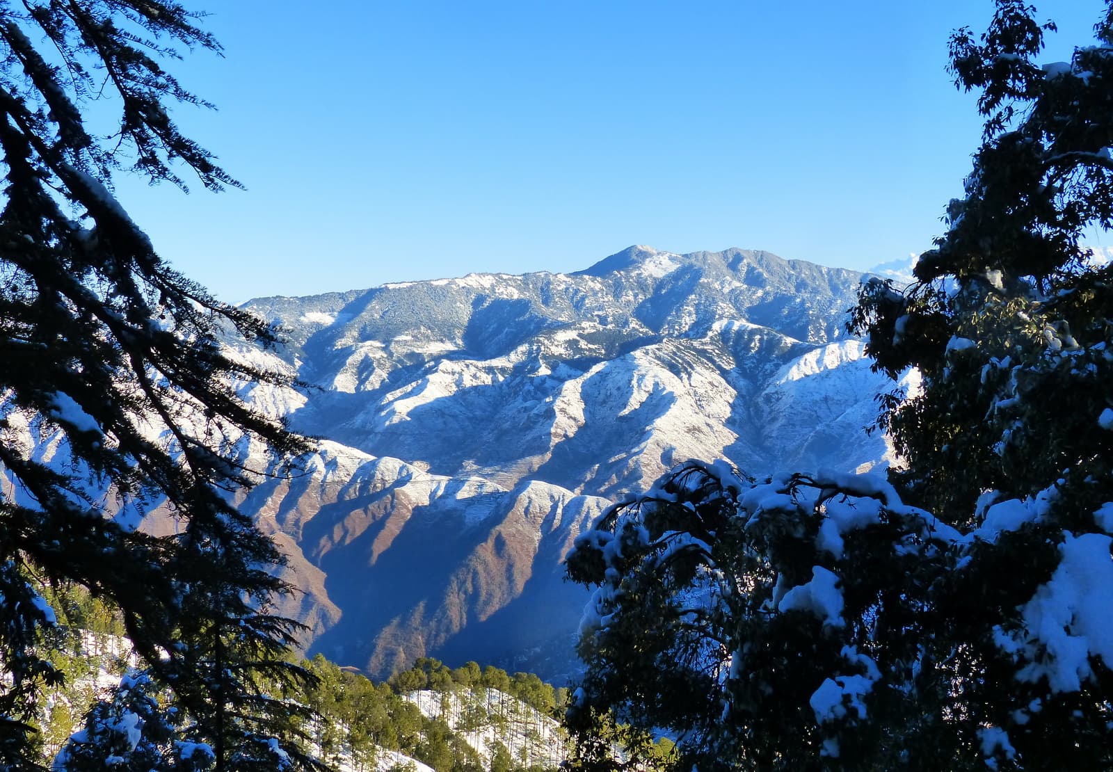 Photo 6 of Nag Tibba Weekend Trek