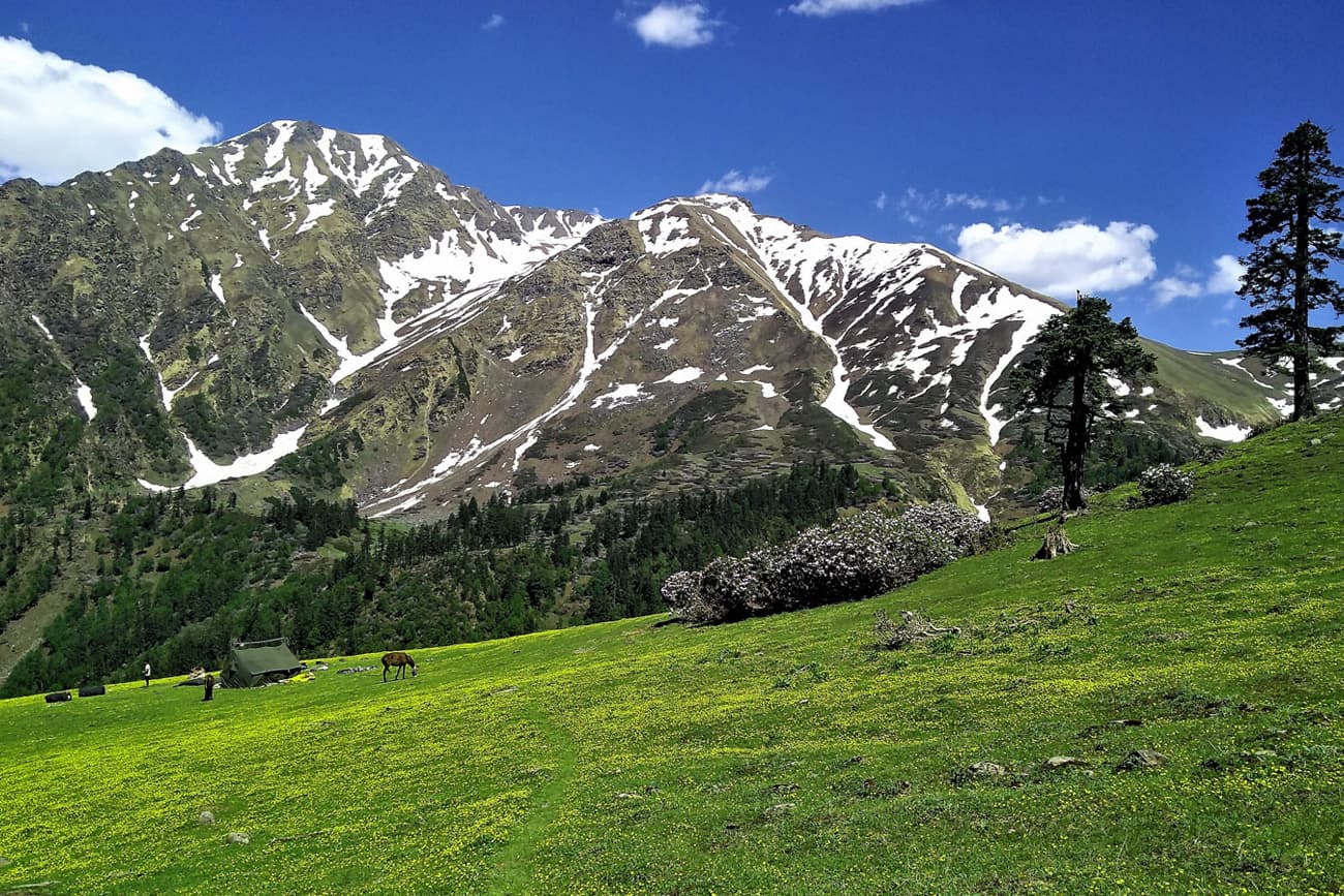 Photo 5 of Phulara Ridge Trek