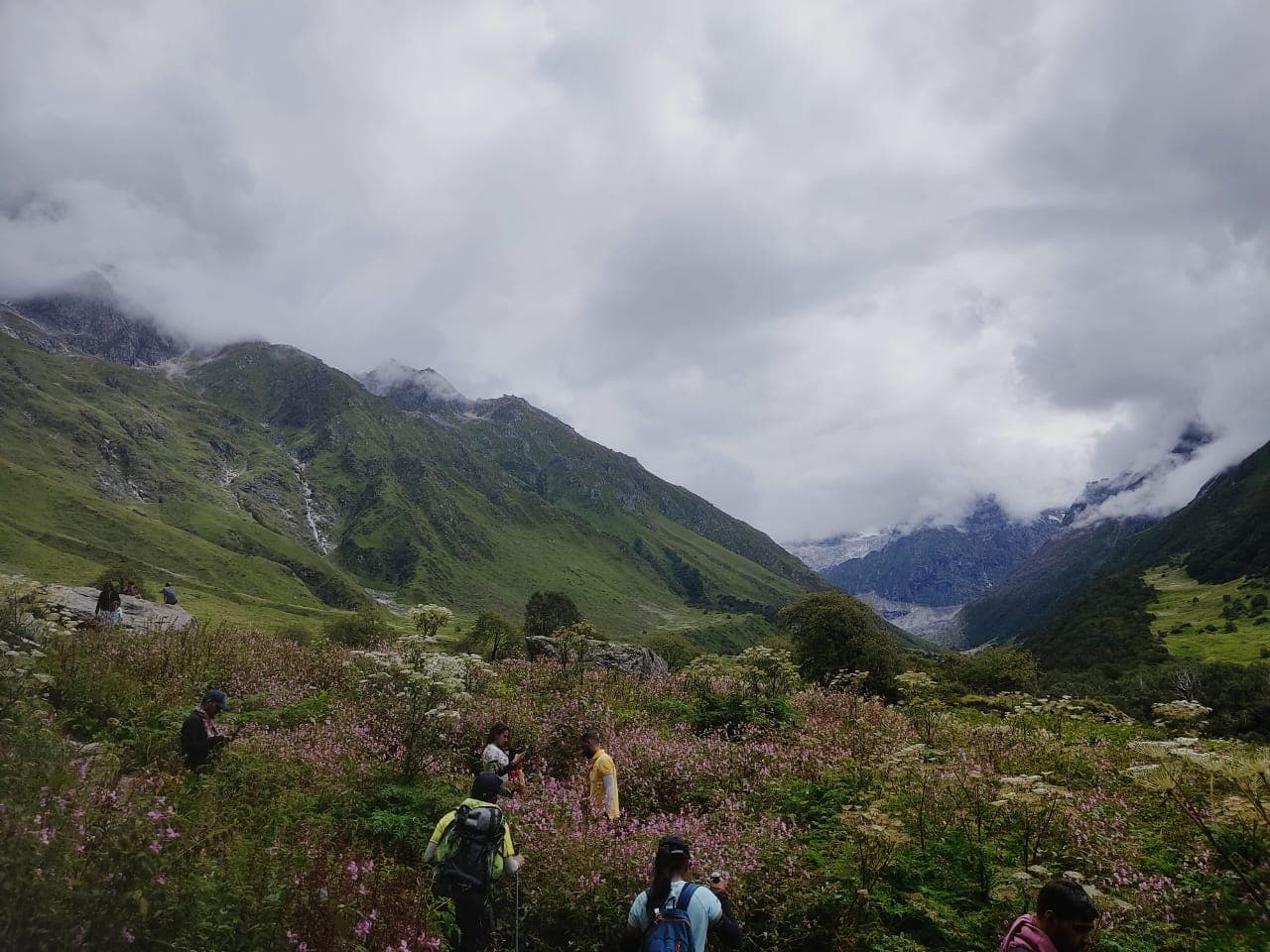 Photo 5 of Valley of Flowers Trek