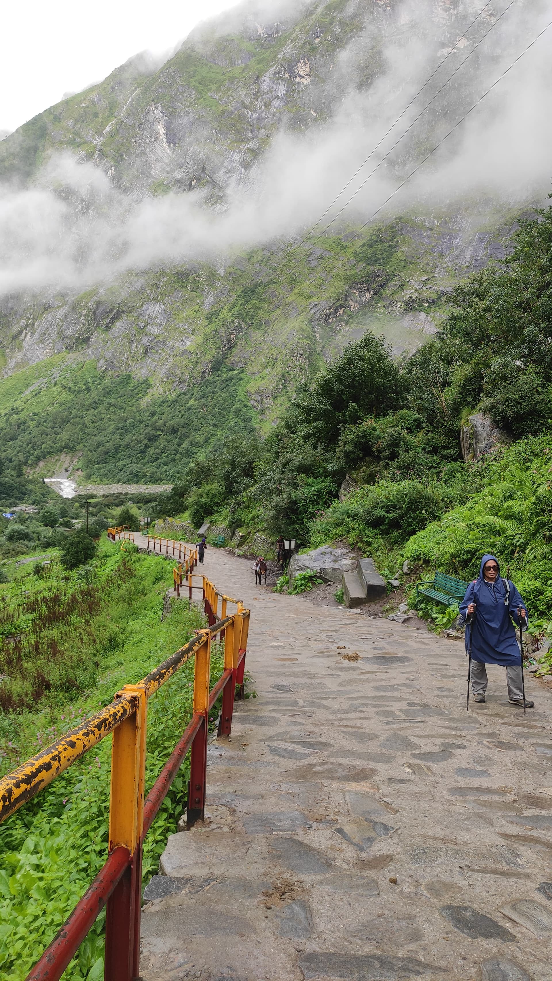 Photo 7 of Valley of Flowers Trek