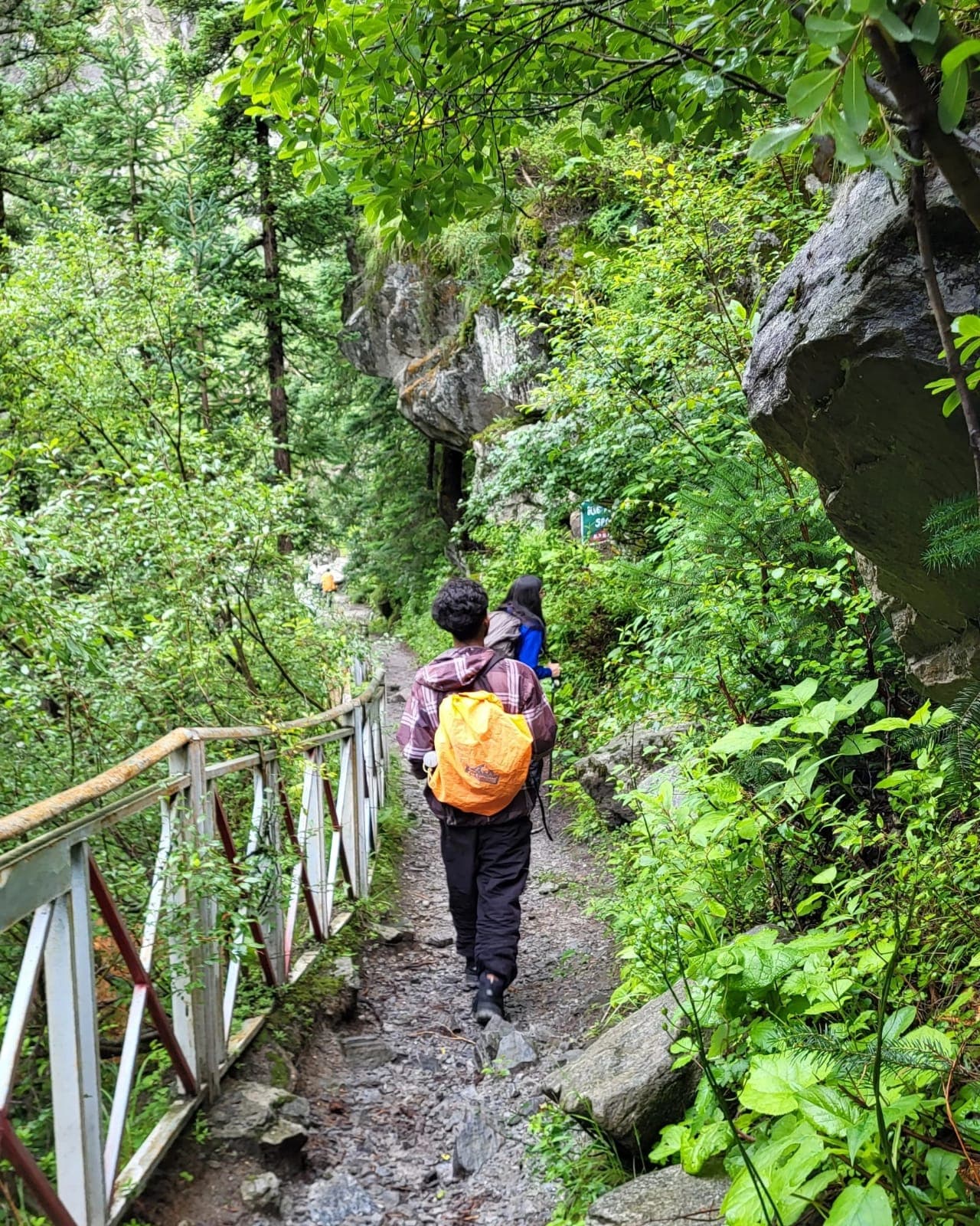 Photo 8 of Valley of Flowers Trek