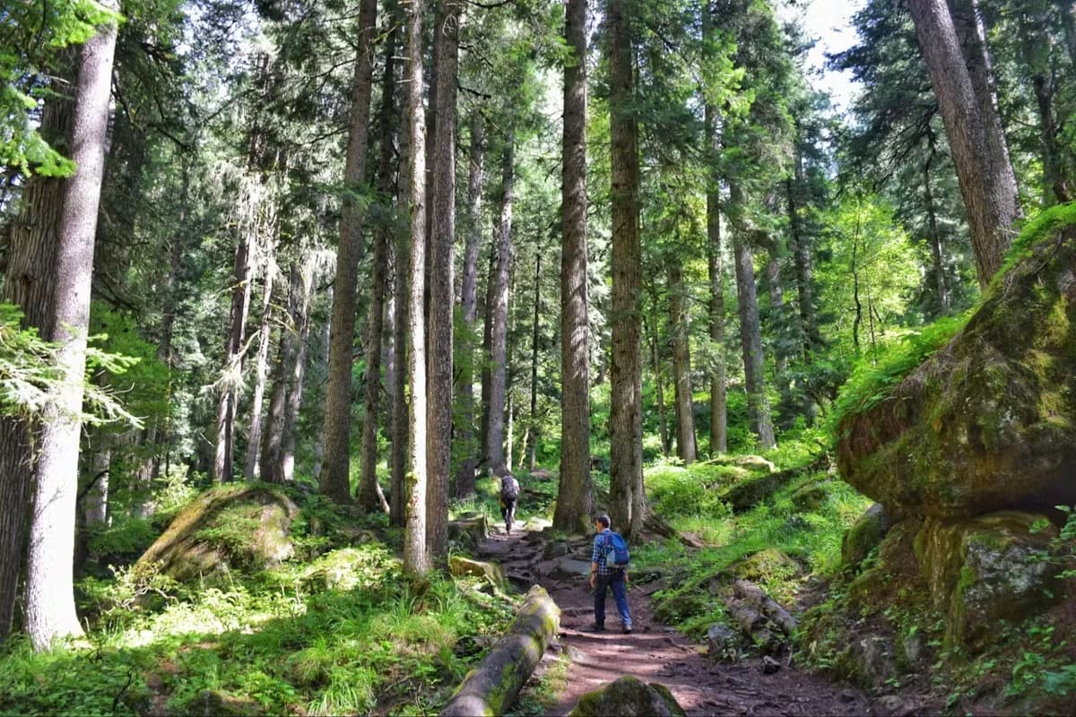 Photo 2 of Brammah Valley Trek