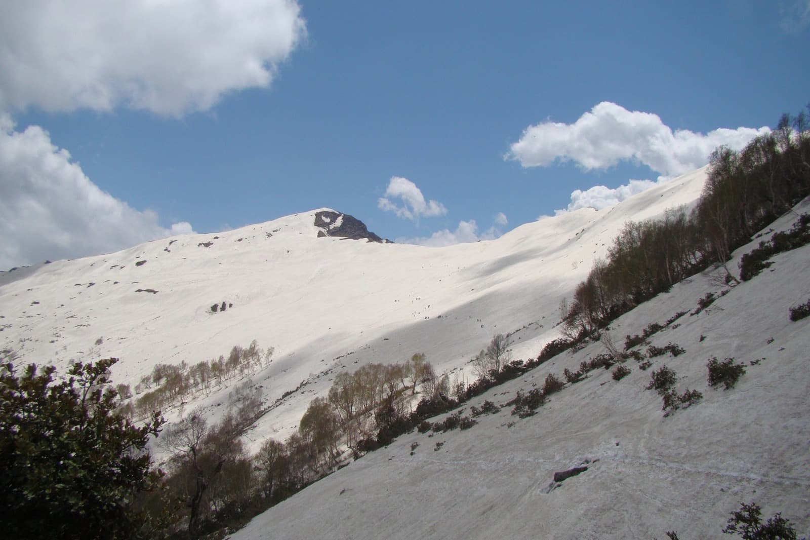 Photo 6 of Chandrakhani Pass Trek
