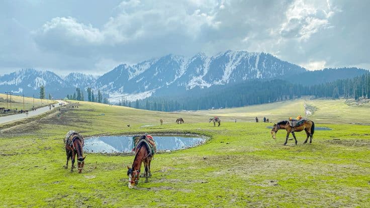 View of Doodhpathri Trek