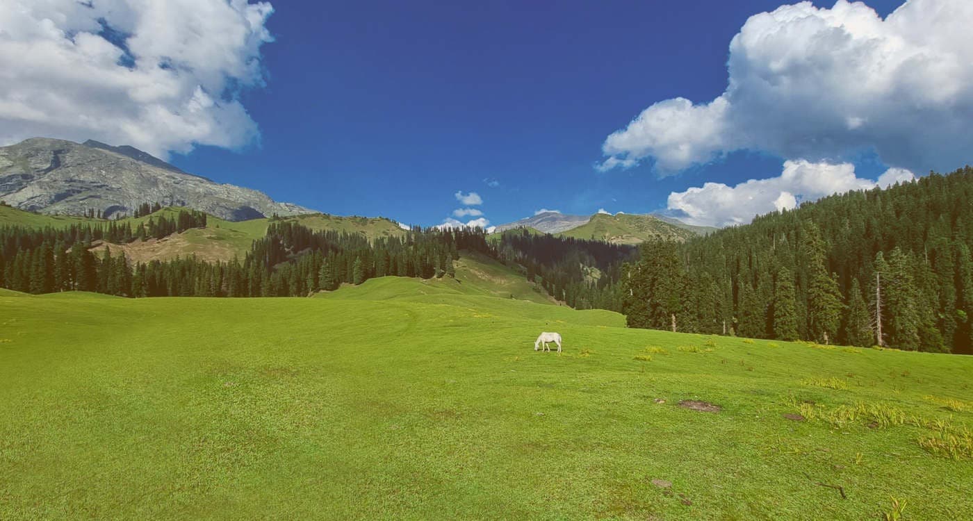 Photo 5 of Nafran Valley Trek