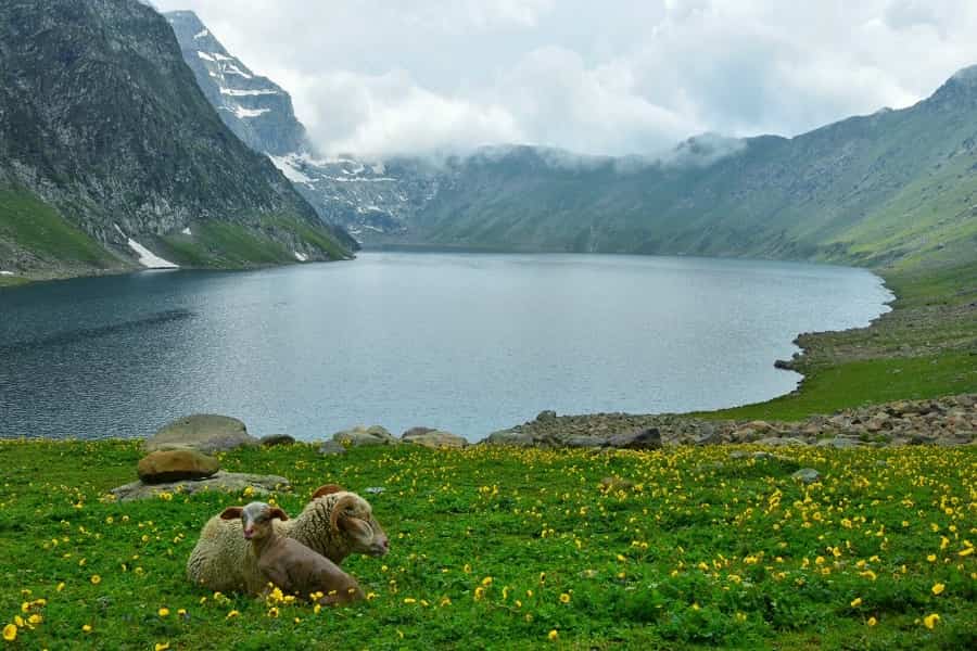 Photo 4 of Tarsar Marsar